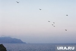 Предполагается, что большие проблемы из-за подъема воды начнутся уже к 2100 году 