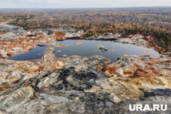 Владимир Зеленский подпишет соглашение с США по месторождениям уже скоро, заявил Майкл Уолтц