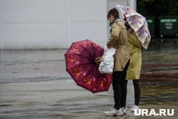 Порывы ветра будут достигать 20 м/с