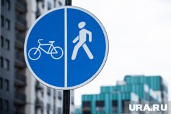 Новый велопешеходный мост появится в Тюмени через несколько лет