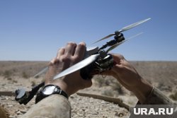 Украинские дроны сбиты над Воронежской областью