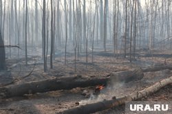 В ЯНАО действует один очаг возгорания