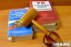 Суд назначил челябинцу пять с половиной лет колонии 