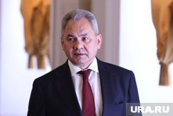 Шойгу прибыл в столицу Ирака