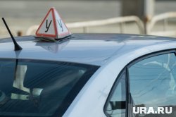 За сдачу экзамена курсанты платили по 40 тысяч рублей