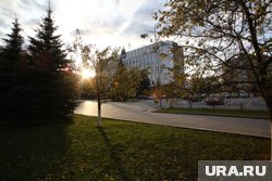 В Тюмени отступили ночные заморозки