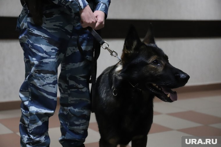 Шутка подростка о минировании школы обошлась его матери в 100 тысяч рублей