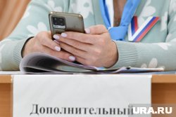 Южноуральцы могут проголосовать дистанционно