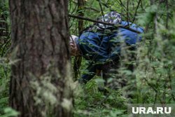 Спасатели советуют при входе в лес обращать внимание на ориентиры
