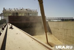 Власти России развивают инфраструктуру для транспортировки зерна на Дальнем Востоке и в Сибири