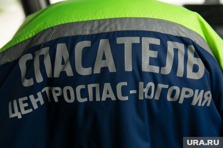 Семенов получил должность врио директора «Центроспас-Югории» в феврале 2024 года