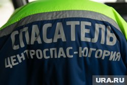Семенов получил должность врио директора «Центроспас-Югории» в феврале 2024 года