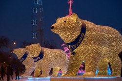 Семейства светодиодных белых медведей появятся в Тюмени, Тобольске и Кургане