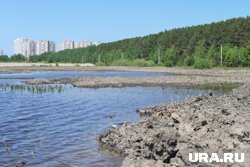 Инцидент произошел на озере Кривое