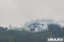 Лесные пожары в Забайкальское крае начались 20 июня