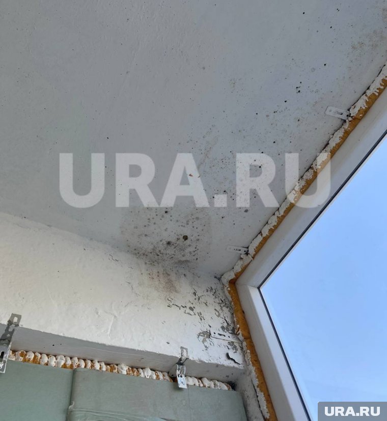 На балконе оказался разрастающийся очаг плесени