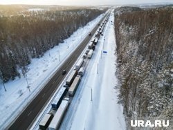 Изменения позволят решить проблему с необоснованными штрафами для добросовестных перевозчиков