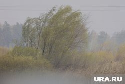 В Курганской области усилится ветер