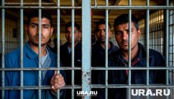В этом году полиция получила право выдворять мигрантов из страны за административные правонарушения 