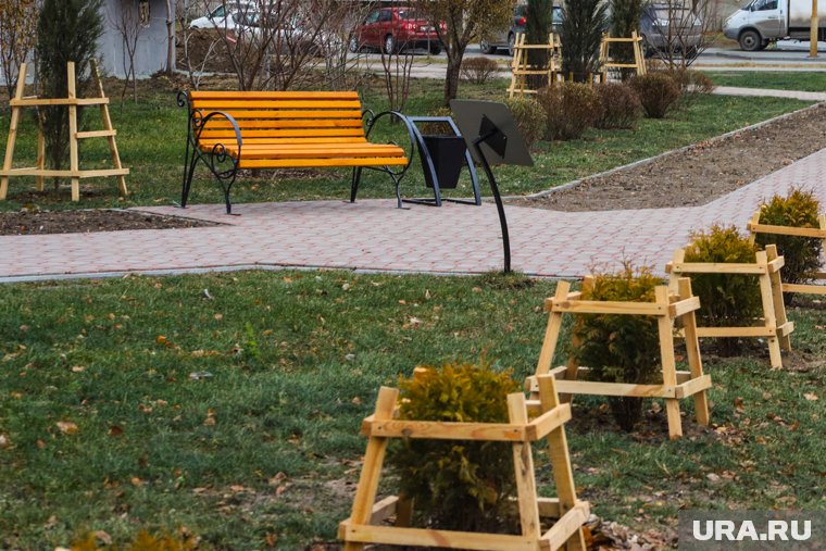 Курганцы переживают за судьбу саженцев в городе