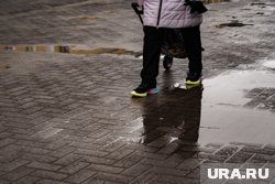 Дожди в Прикамье выпадут только на востоке региона.