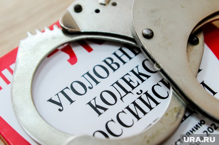 Дело возбуждено по статье о покушении на жизнь сотрудников правоохранительных органов