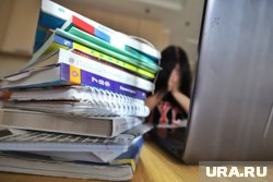Школьников с понедельника переводят на дистанционное обучение