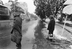 В Кургане даже образовался временный снежный покров высотой 2 см