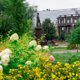 С артиллерийскими пушками, вечной зеленью и пэчворком: как обновили скверы к 300-летию Перми. Фоторепортаж