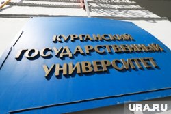 Востребованные профили с большим количеством бюджетных мест