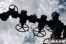 Франция тормозит санкции против газа из РФ, боясь потерять свои деньги, считает эксперт