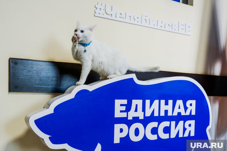 В Копейске повторится предварительное голосование ЕР