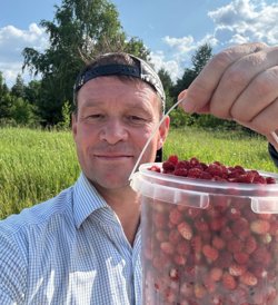 Спикер пермской гордумы собирает землянику для своей дочери