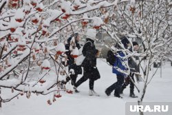 Сергей Миронов вновь предложил перенести часть зимних выходных