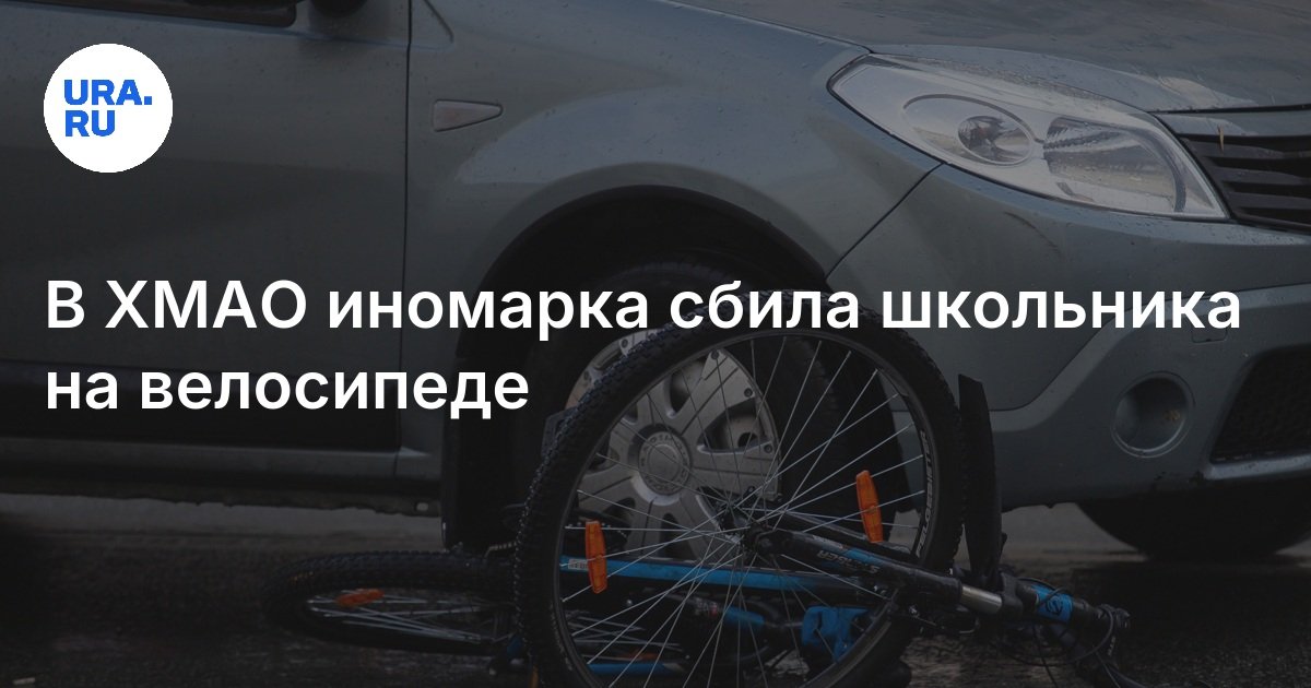Автомобиль сбил девушку. Пешеход и автомобиль. Пешеход. Голубь на пешеходном переходе. Сбил на зебре.