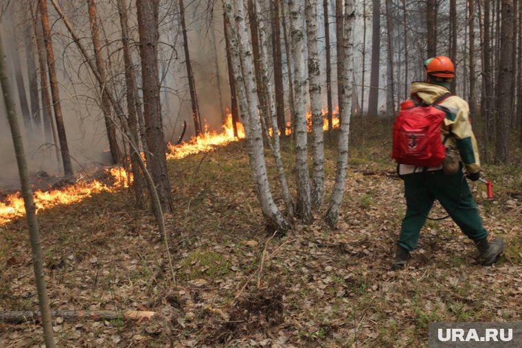 В ЯНАО на 18 июля горит 55 гектаров леса