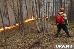 Площадь лесных пожаров в ЯНАО за сутки увеличилась в десятки раз