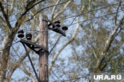 В Перми энергетики выявили крупное хищение электроэнергии