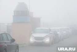 В Клину видимость в тумане сокращалась до 50 метров