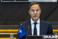 Рютте не смог ответить на вопрос о России