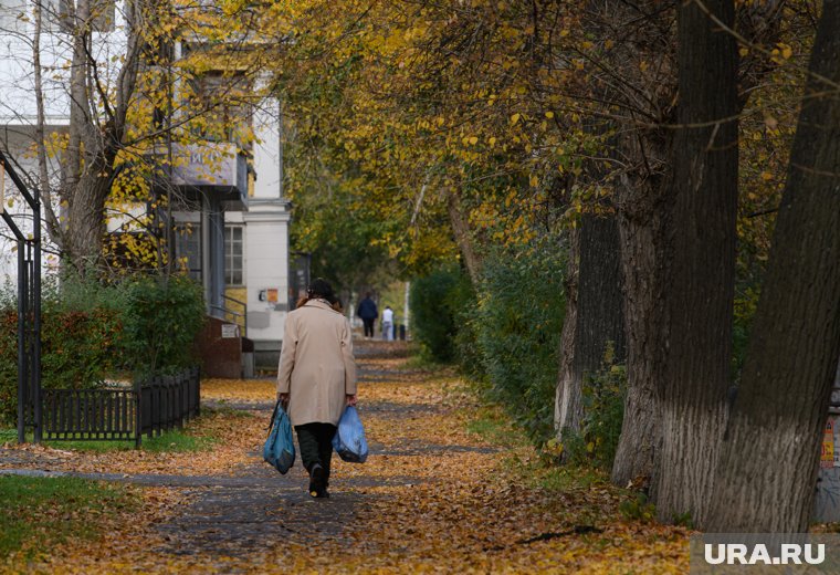 В Курганскую область вернулось бабье лето