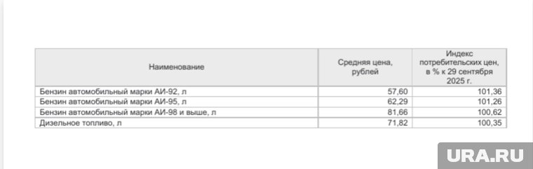 В Кургане и по области дорожает бензин