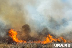 В Прикамье с 14 по 16 июня ожидаются высокая пожарная опасность
