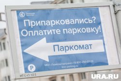 Стоимость стоянки в указанным местах - 35 рублей