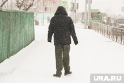 Для поиска пропавших мужчин требуется помощь добровольцев (архивное фото)