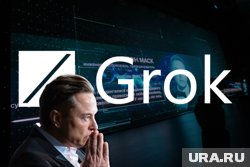 Маск заявил, что Трамп не поблагодарил его за помощь в победе на выборах