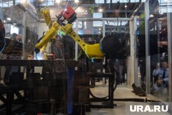 В Дальнейшем таких роботов хотят применить и на сферу ЖКХ