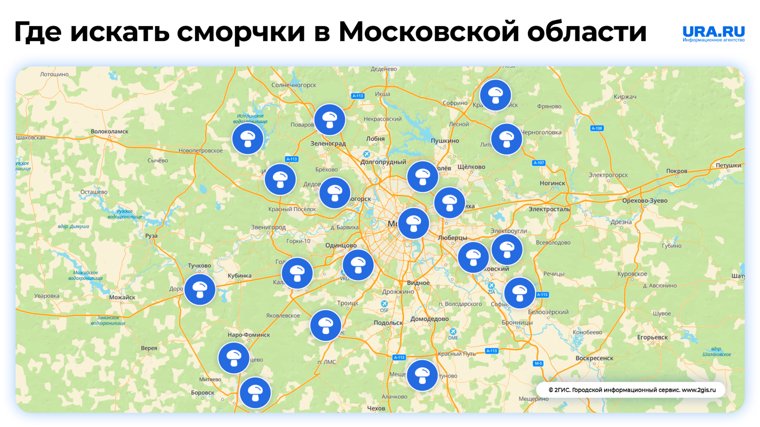 Карта произрастания сморчков в Московской области