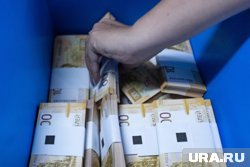 Такую сумму с начала года внесли 325 самозанятых