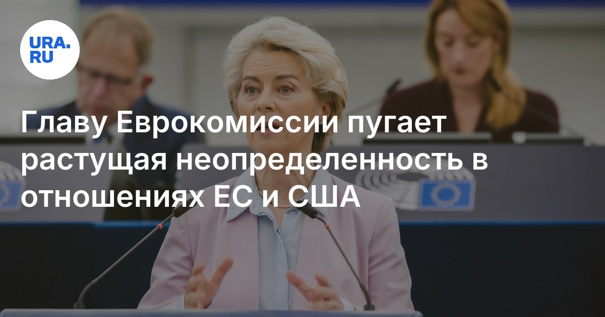 欧州委員会の長は、米国との対話のためのヨーロッパの準備を発表しました：解説von der layen